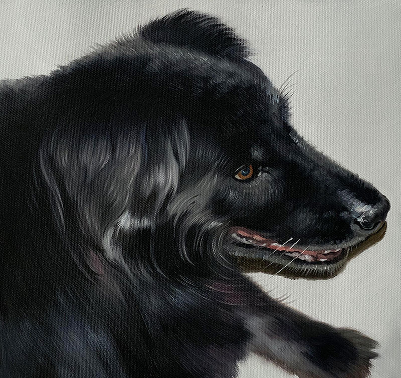 Painting of a black dog`s head and shoulders