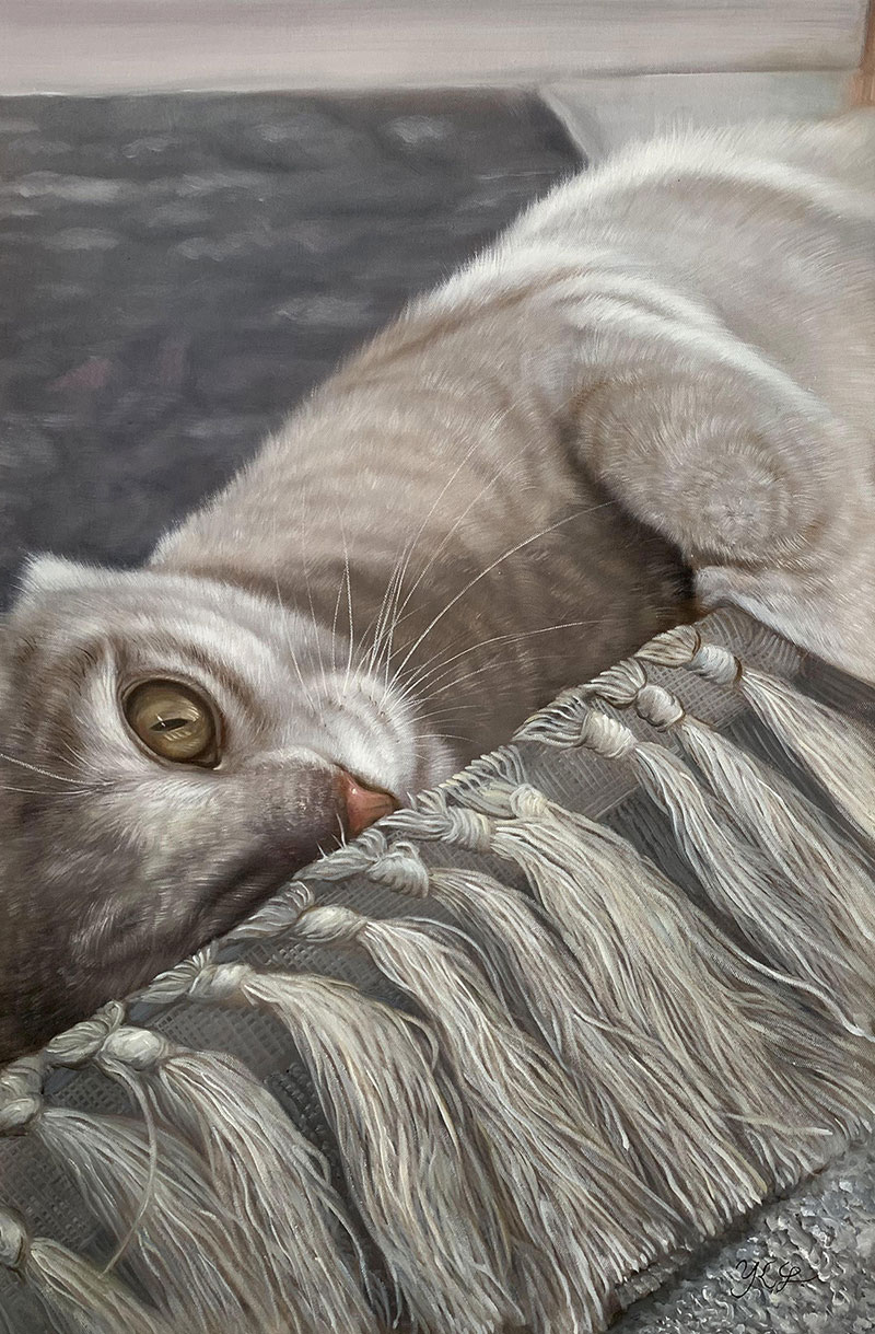 Portraits De Chats Peintures De Chats Dessins De Chats