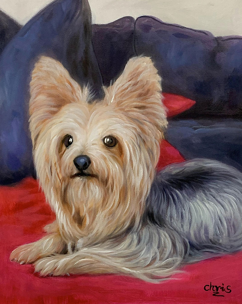 Painting of a Yorkshire Terrier lying on a red surface.