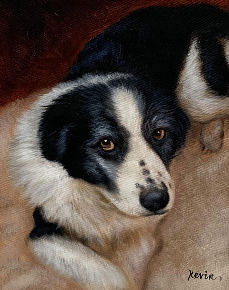 Oil painting of a black and white border collie.