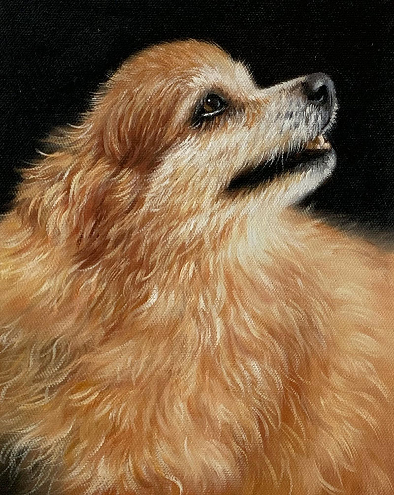 Custom handmade oil artwork of a dog