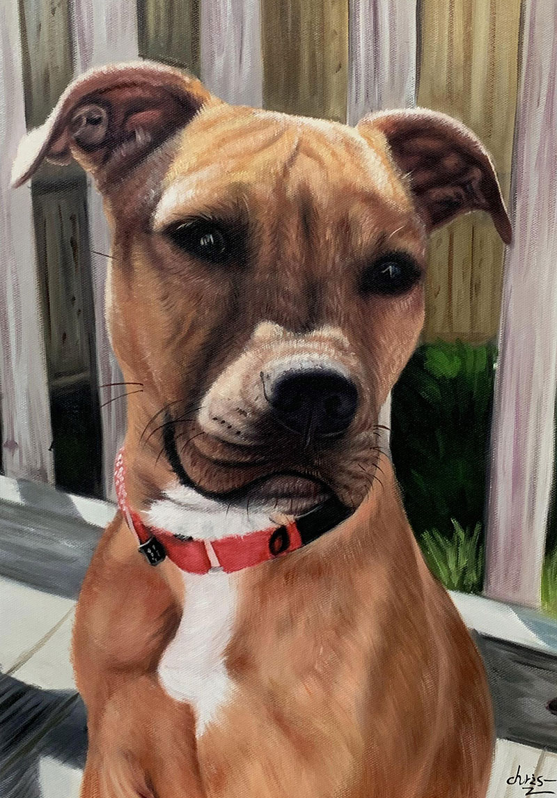 Painting of a brown and white Pit Bull wearing a red collar.
