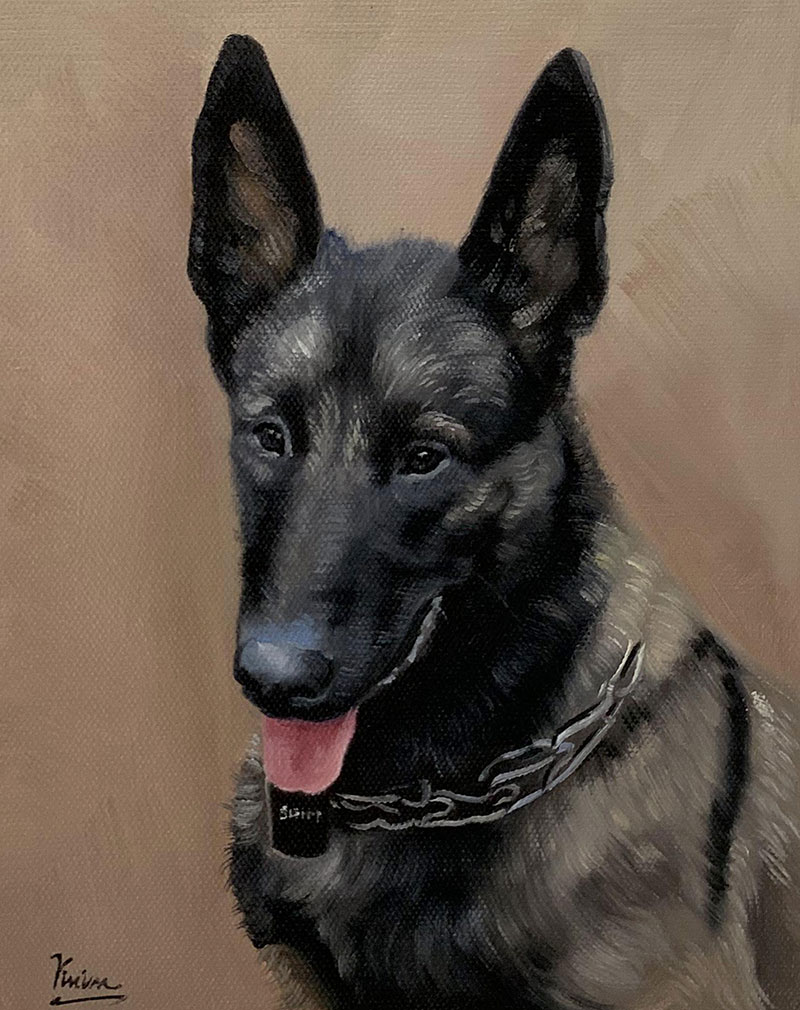 Painting of a black Belgian Malinois dog wearing a chain collar.