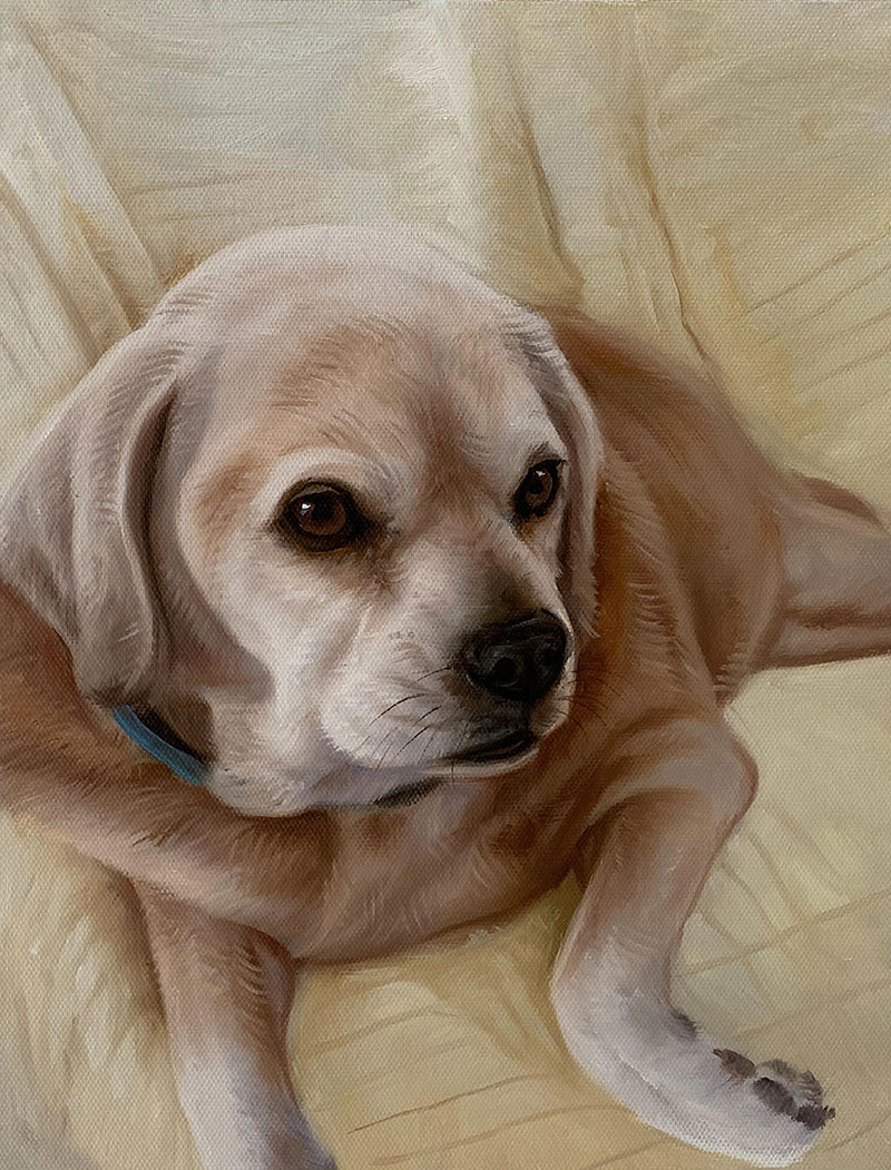 Painting of a light brown dog lying down