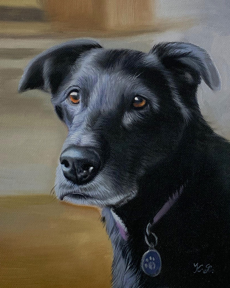 Painting of a black dog wearing a collar with a tag.