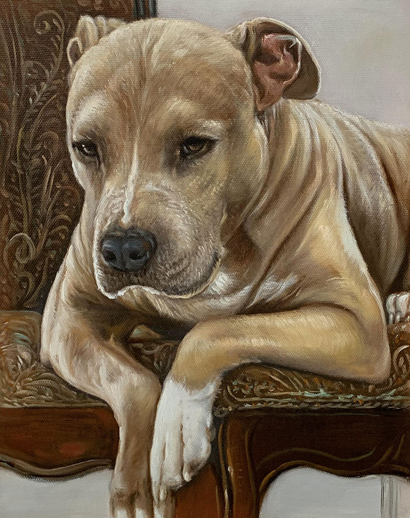 Painting of a tan pit bull resting on an ornate chair.