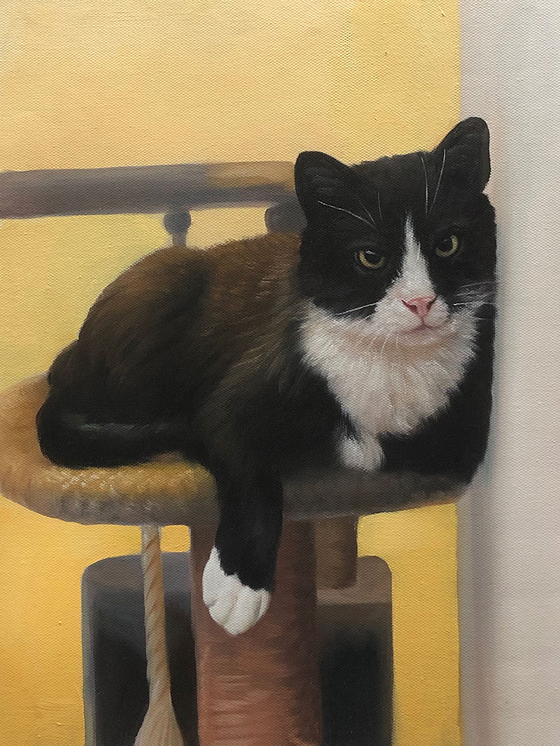 Custom oil painting of a cat