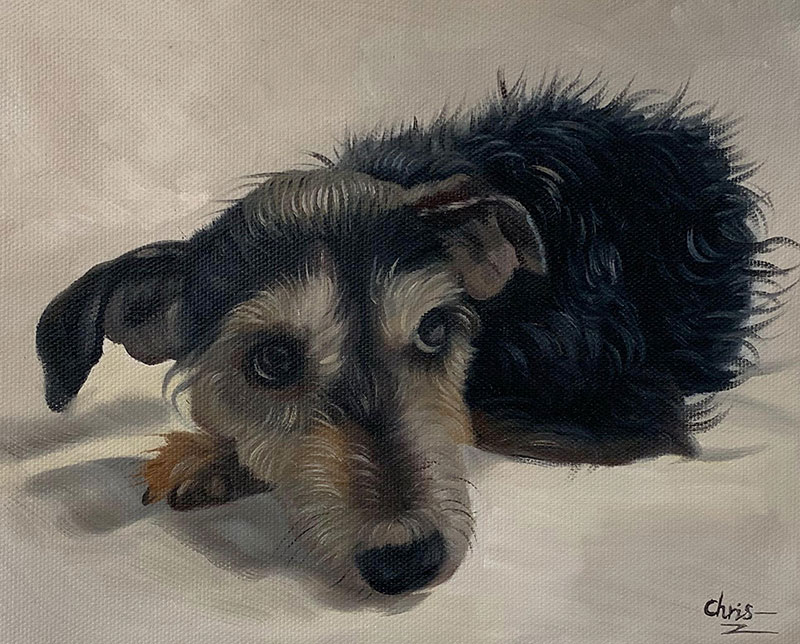 Painting of a small, dark-haired dog lying down.