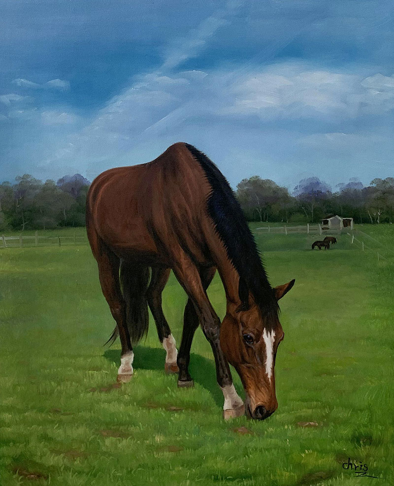 Custom oil painting of a horse