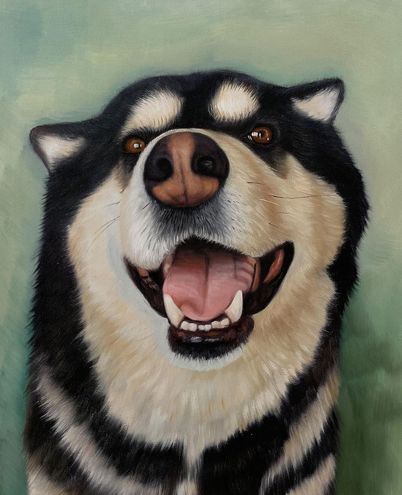 Painting of a smiling Alaskan Malamute.