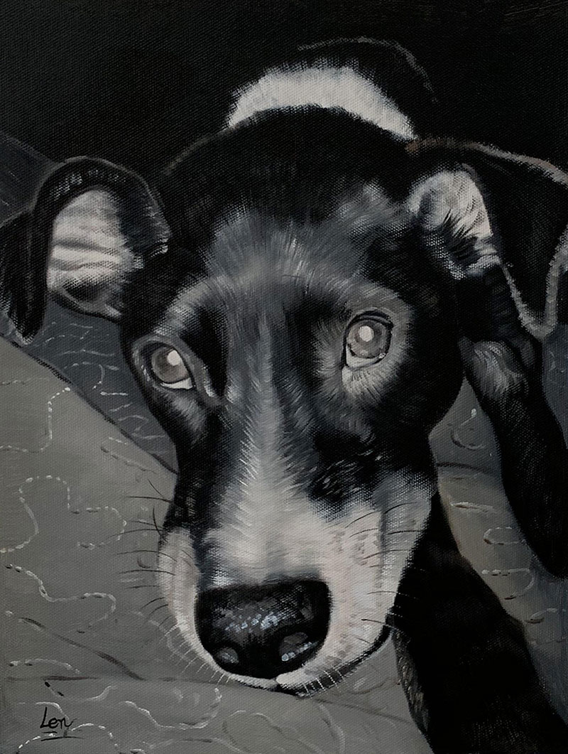 Black and white painting of a dog`s head and shoulders.