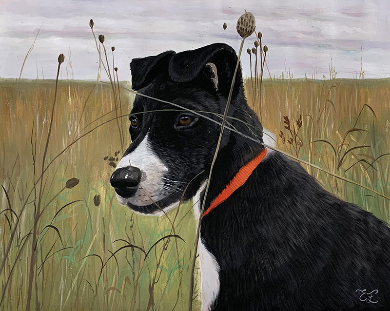 custom pastel painting of a black dog in field