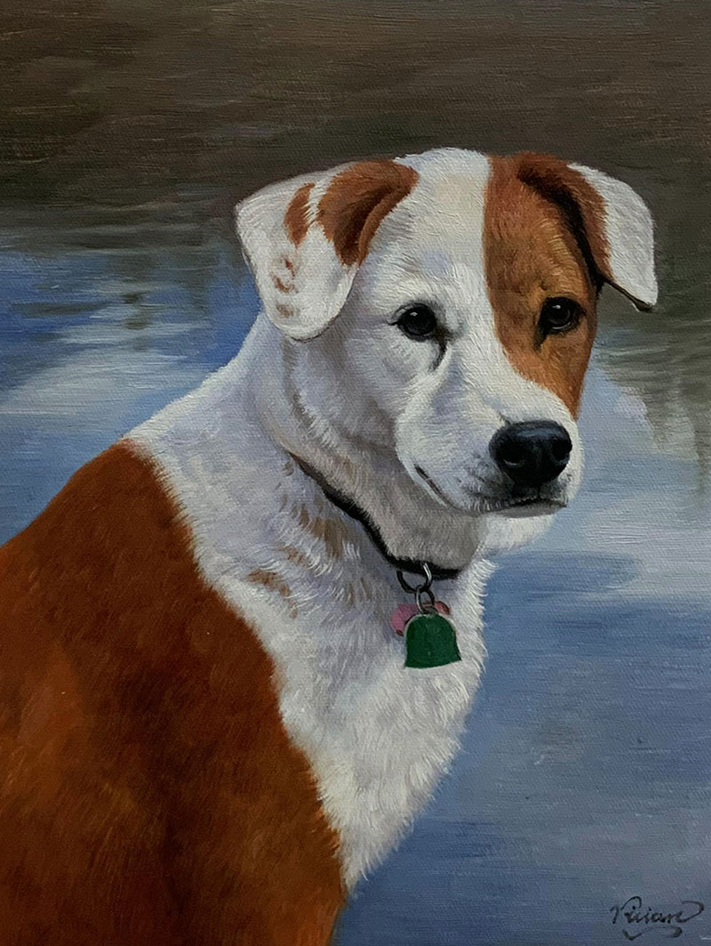 Painting of a brown and white dog wearing a collar with a tag.