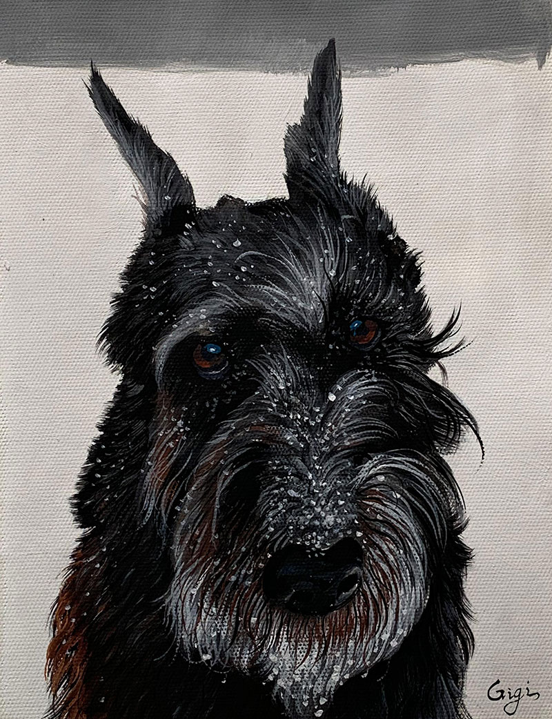 picture to pastel portrait black dog 