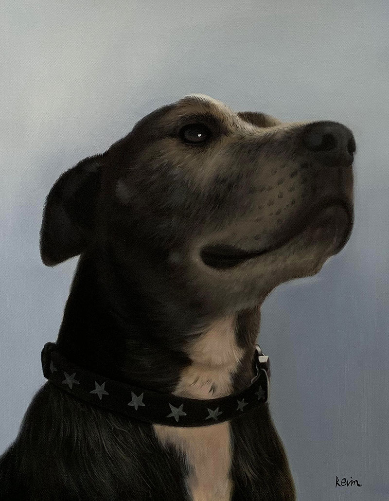 Painting of a dark-colored dog wearing a black collar with silver stars, looking upward.