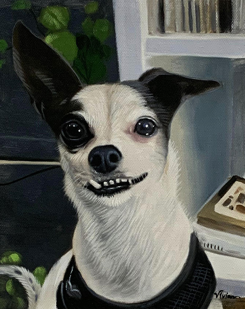 Oil painting of a small, black and white dog with a mischievous grin.