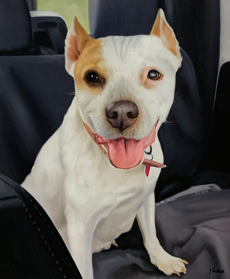 Painting of a happy white and tan Pit Bull sitting in a car seat.