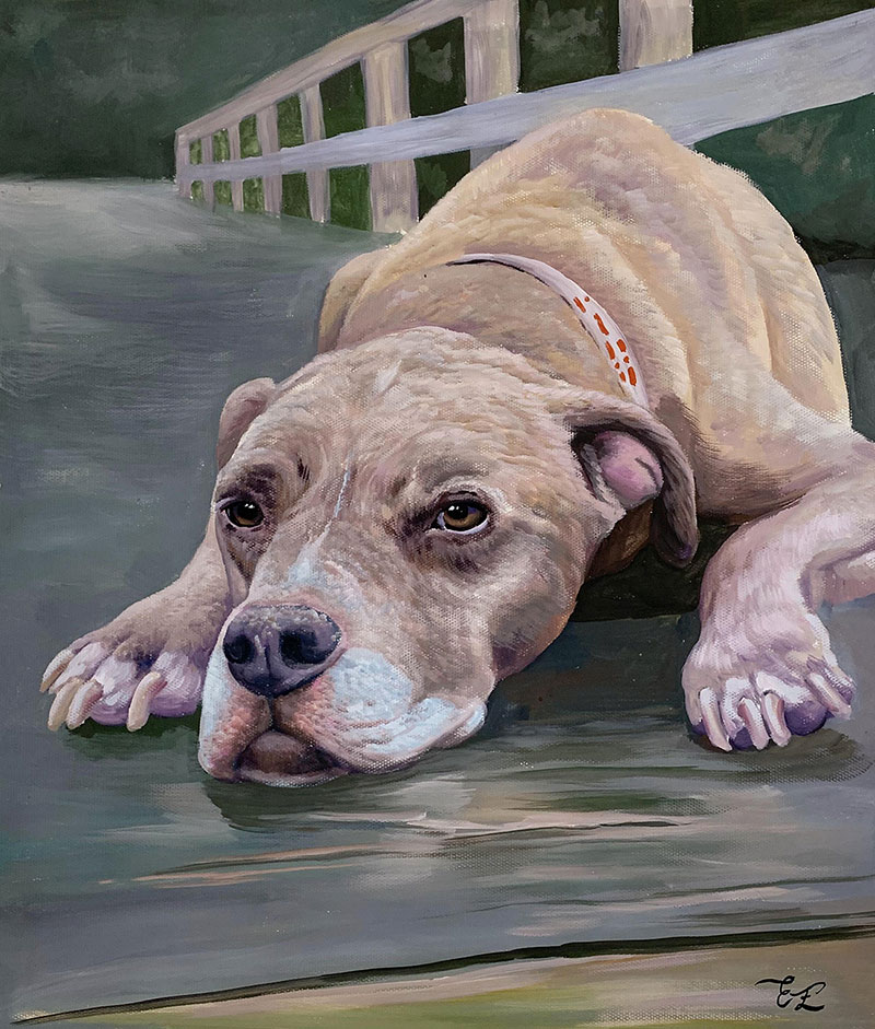 Custom pastel painting of a dog