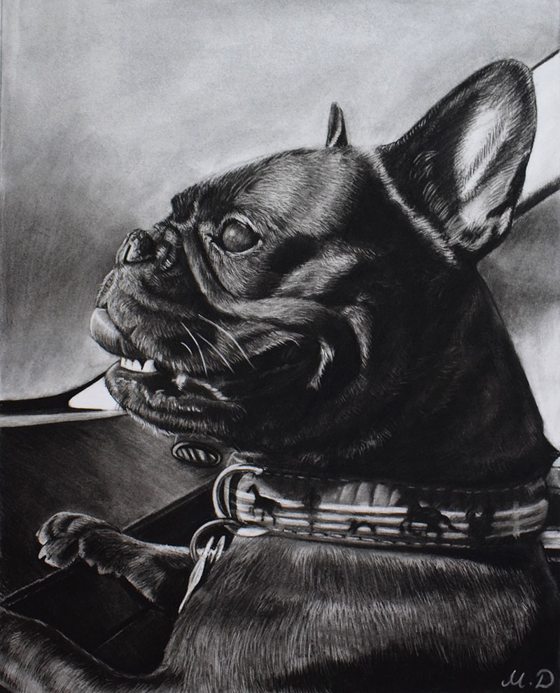 picture to realistic charcoal painting happy black pug 