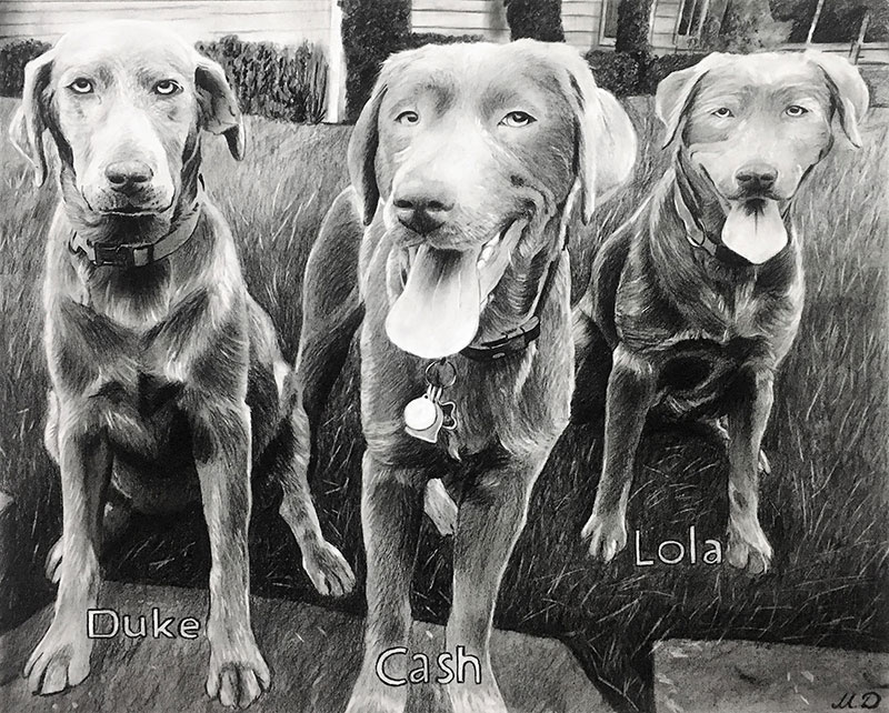 custom charcoal drawing multiple photos three dogs