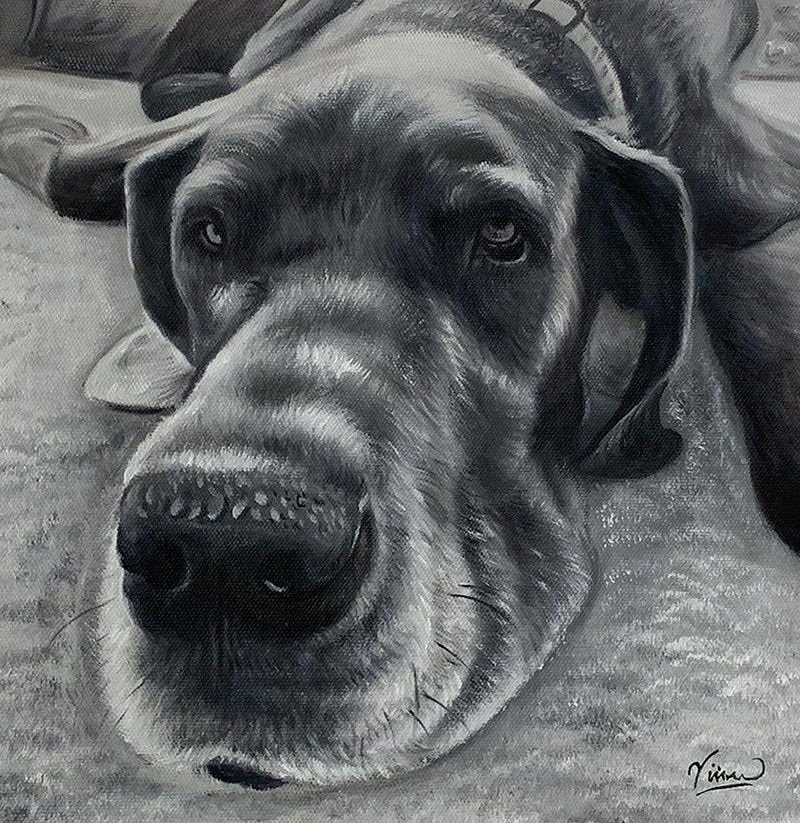 Custom  close up oil painting of a dog