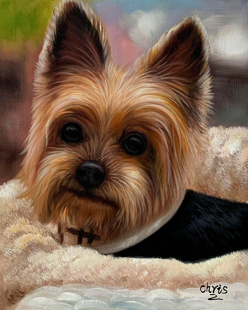 Custom close up oil painting of a dog