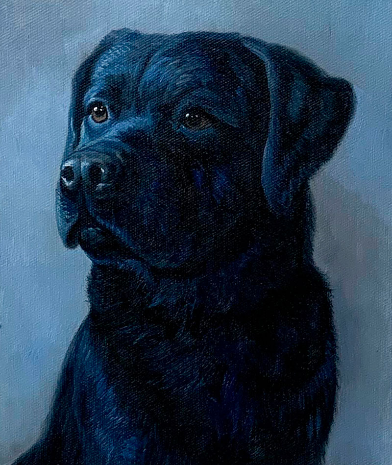 Custom oil painting of a dog with a solid background
