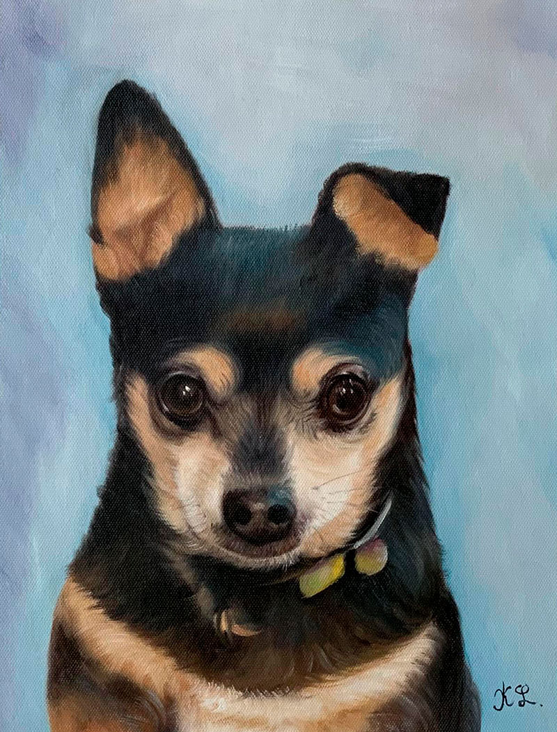 Custom close up oil artwork of a dog with a solid background