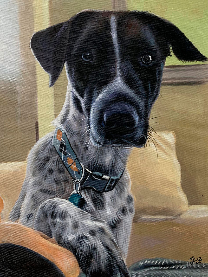 Painting of a black and white dog wearing a collar and sitting on a person`s lap.