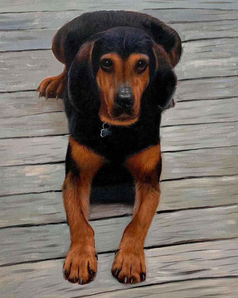 Painting of a black and tan dog lying on a deck