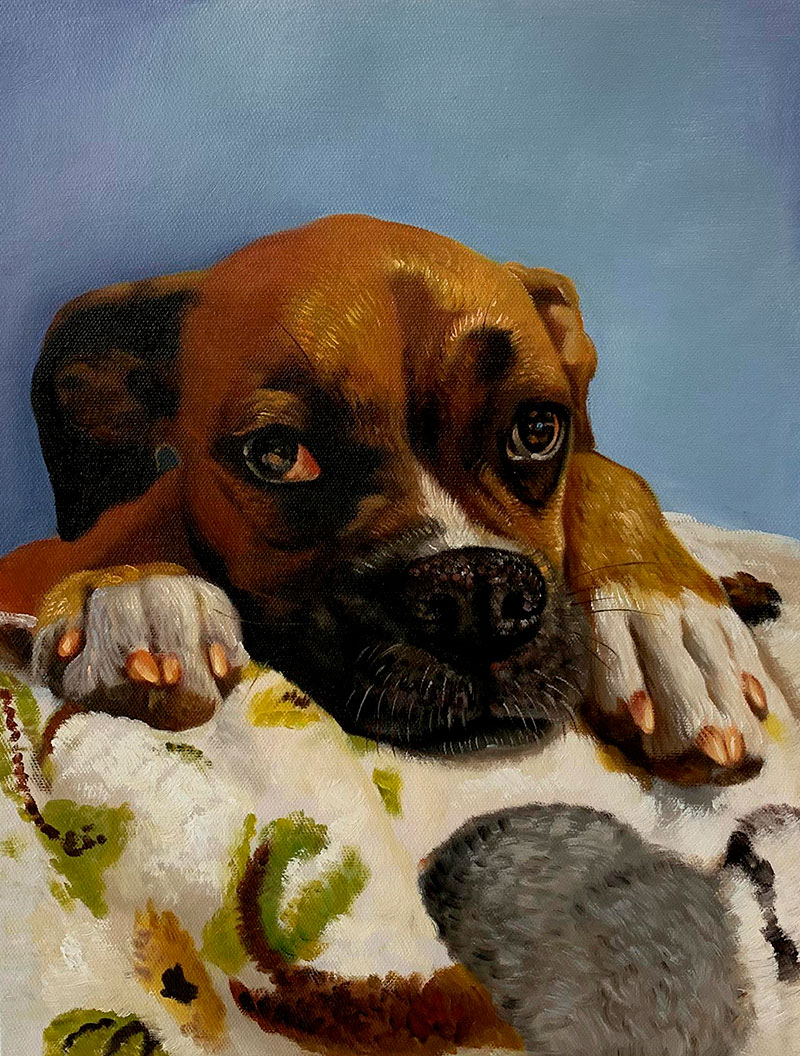Custom close up oil painting of a dog 