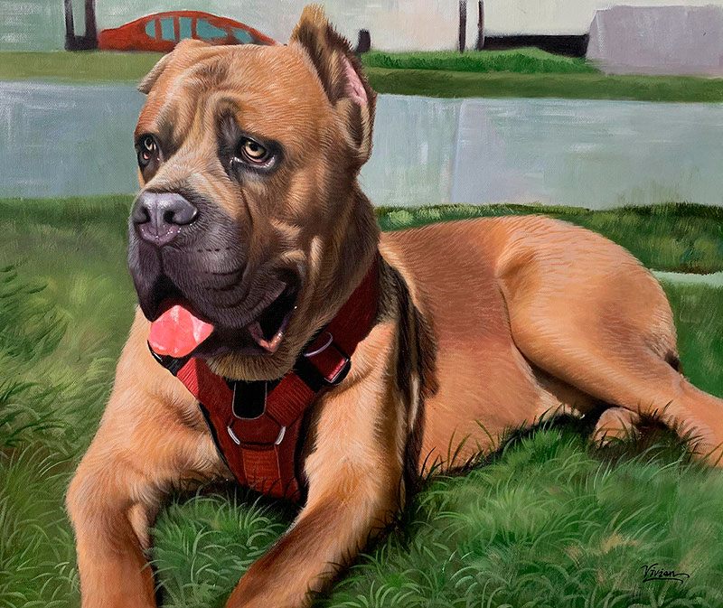 Painting of a Cane Corso lying in the grass wearing a red harness.