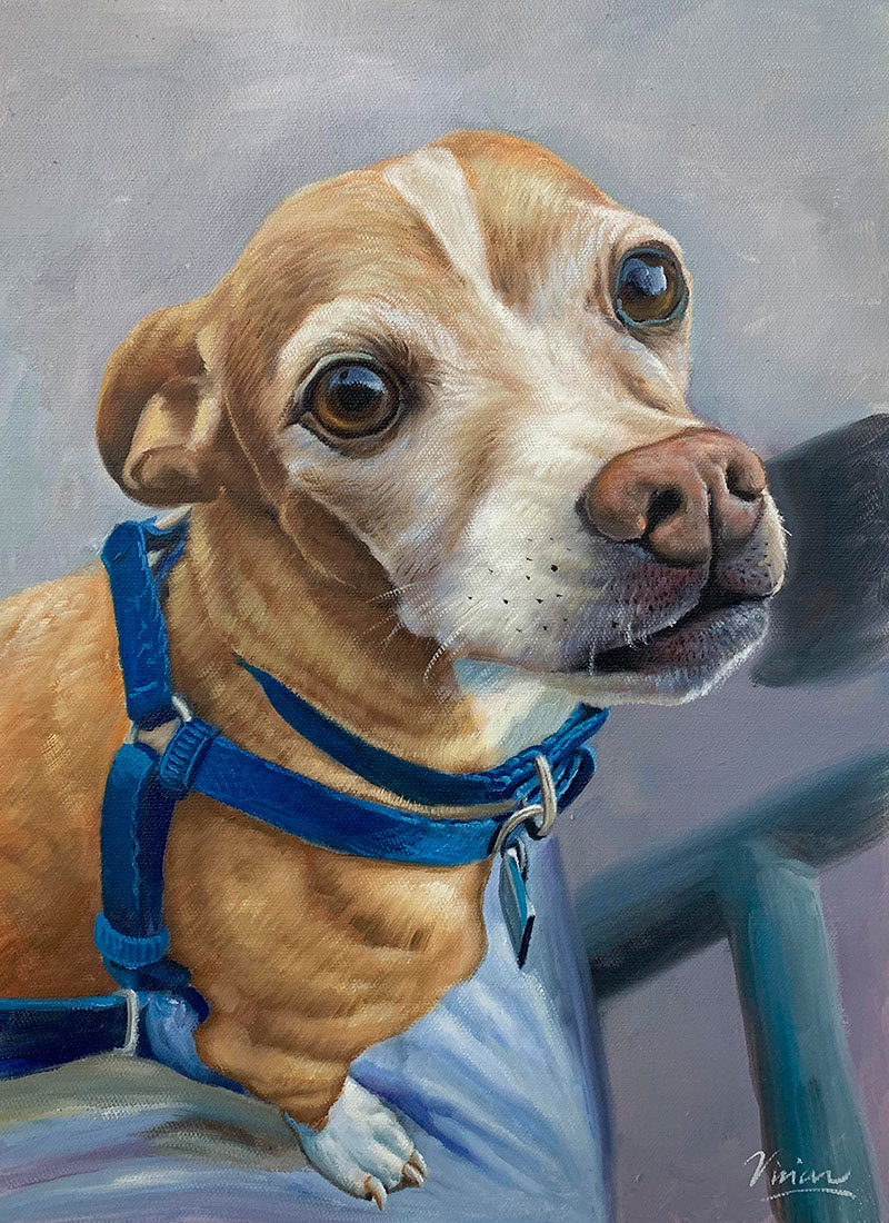 Painting of a tan chihuahua wearing a blue harness, looking up.