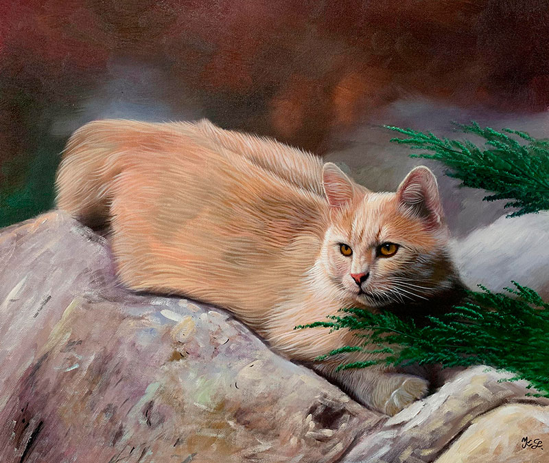 Orange cat resting on a rock, surrounded by greenery.