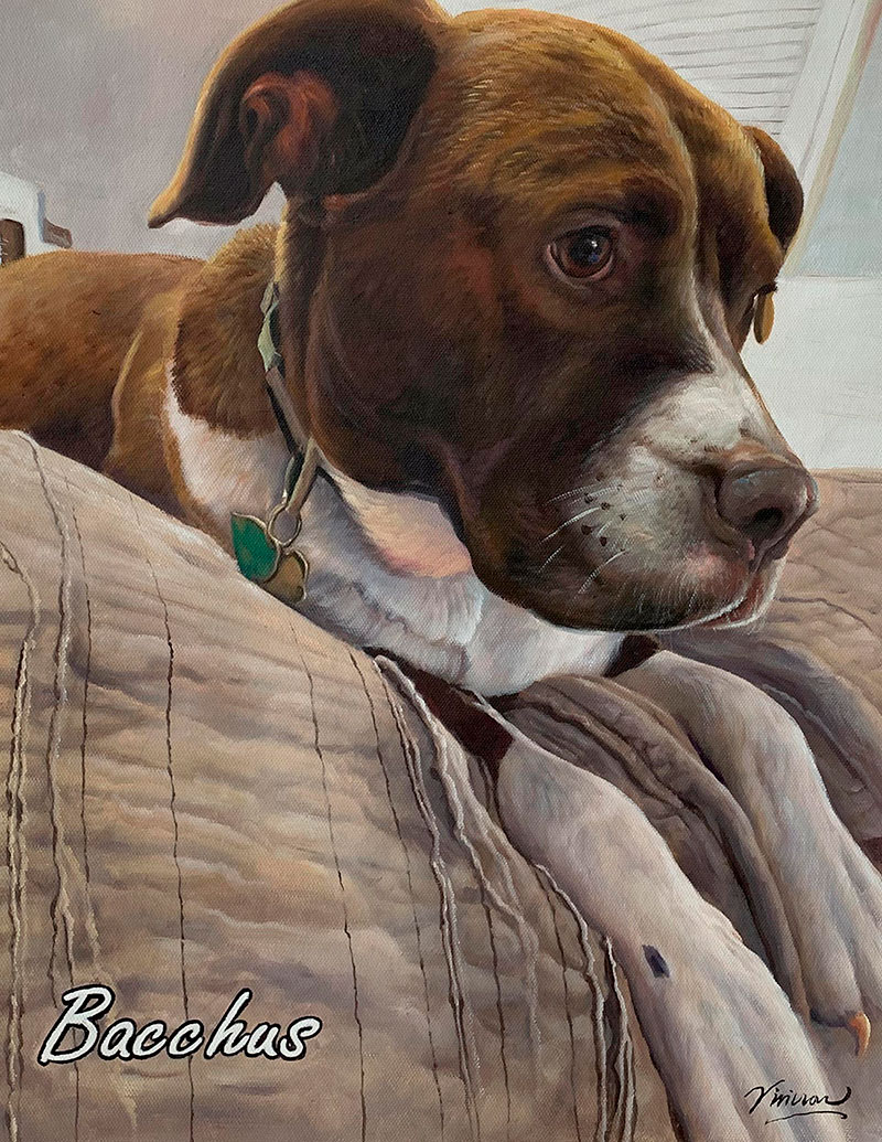 Painting of Bacchus, a brown and white dog, lying on a beige blanket.