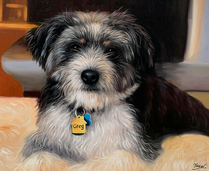 Oil painting of a fluffy black and white dog named Greg wearing a tag.
