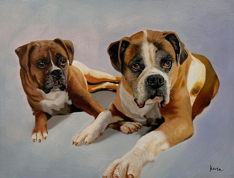 Painting of two Boxer dogs lying down.