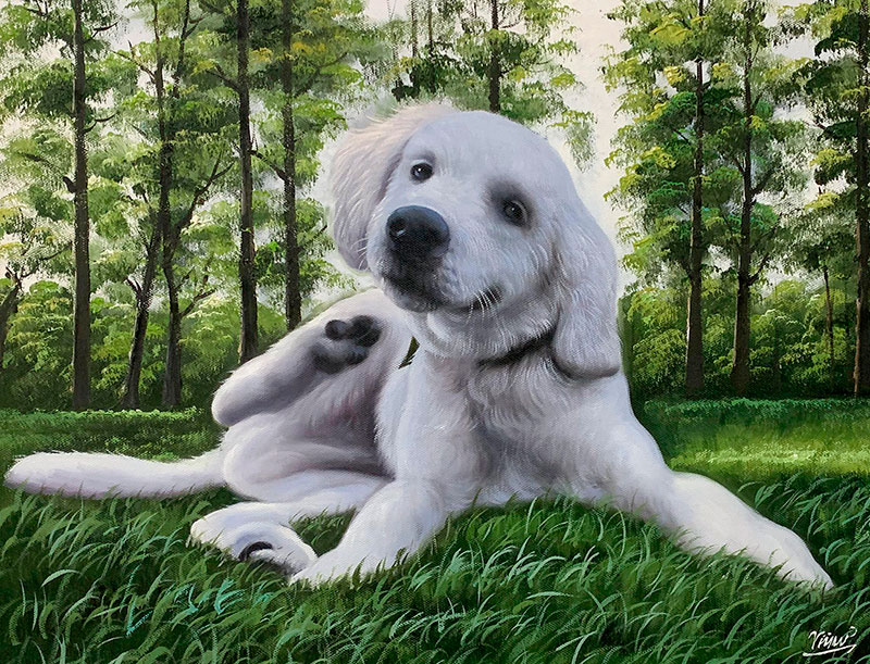 White puppy lying in green grass, forest in background