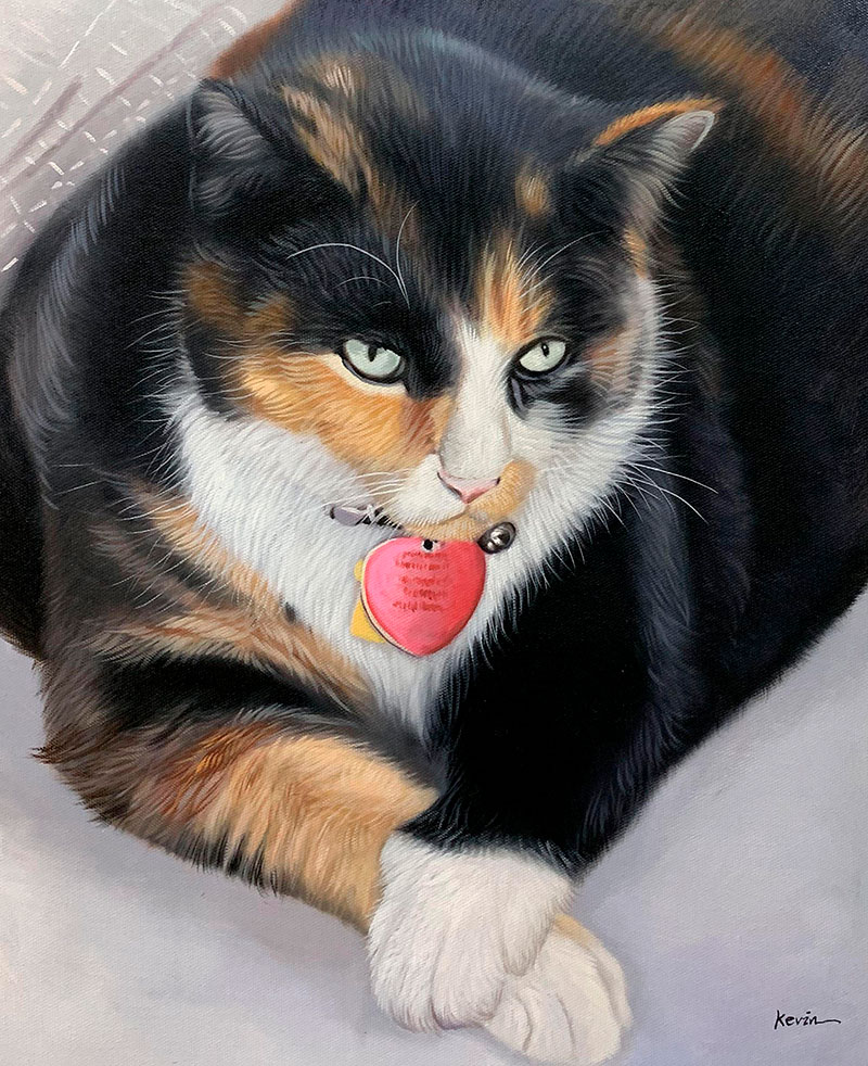 Calico cat portrait with heart-shaped tag.