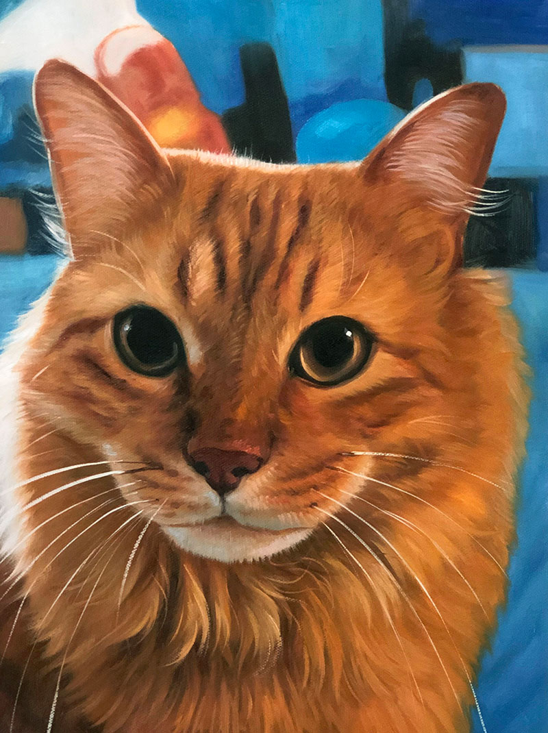 Custom close up oil painting of a cat