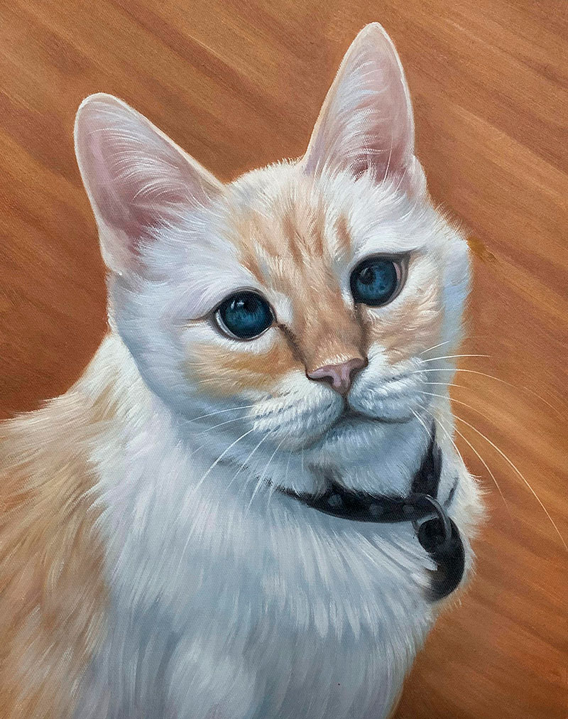 Painting of a white and cream cat with blue eyes wearing a black collar