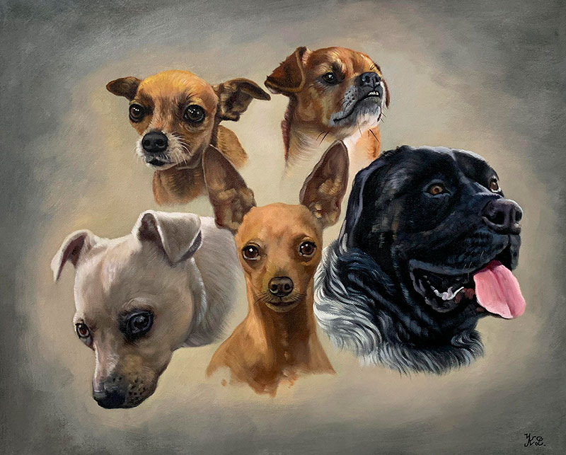 Painting of five dogs` heads, a chihuahua, a Jack Russell mix, a miniature pinscher, a small white dog, and a large black dog.
