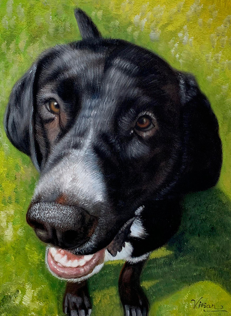 Custom close up oil artwork of a black dog