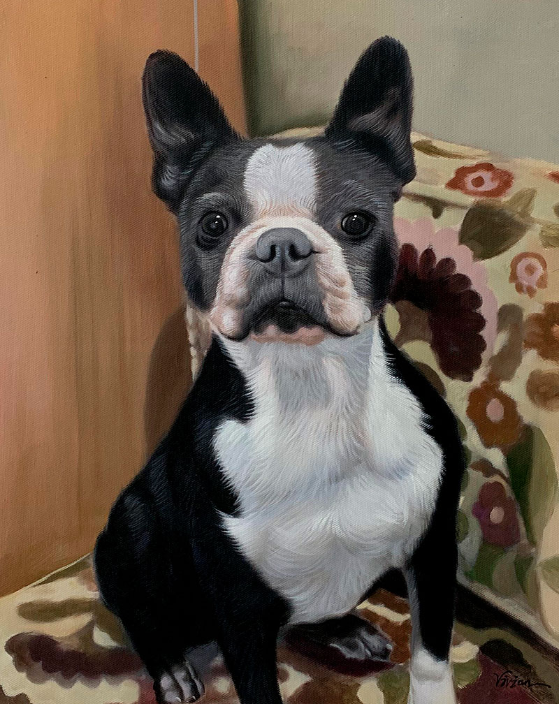 Painting of a Boston Terrier sitting on a floral couch