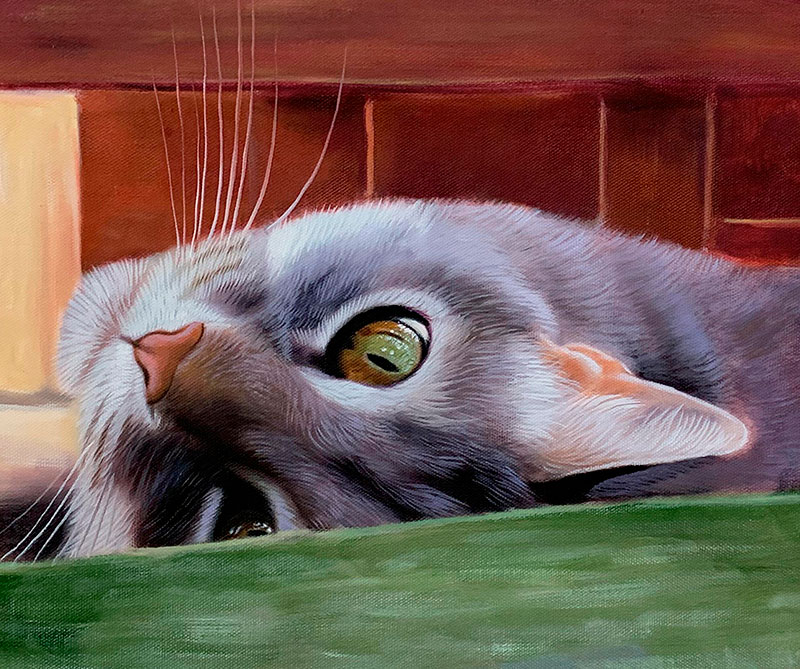 Close up handmade oil painting of a cat