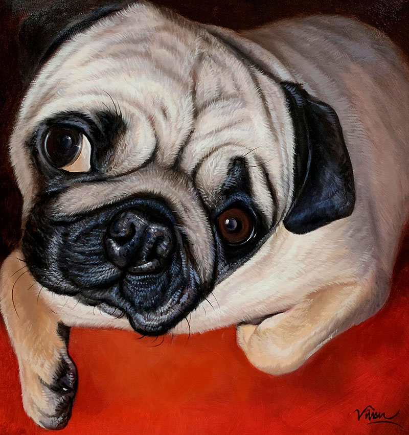 Painting of a pug lying on a red surface, looking up at the viewer.