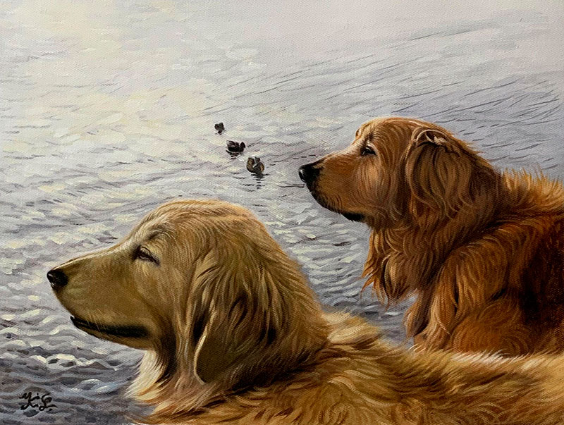Two golden retrievers by a lake watching ducks.