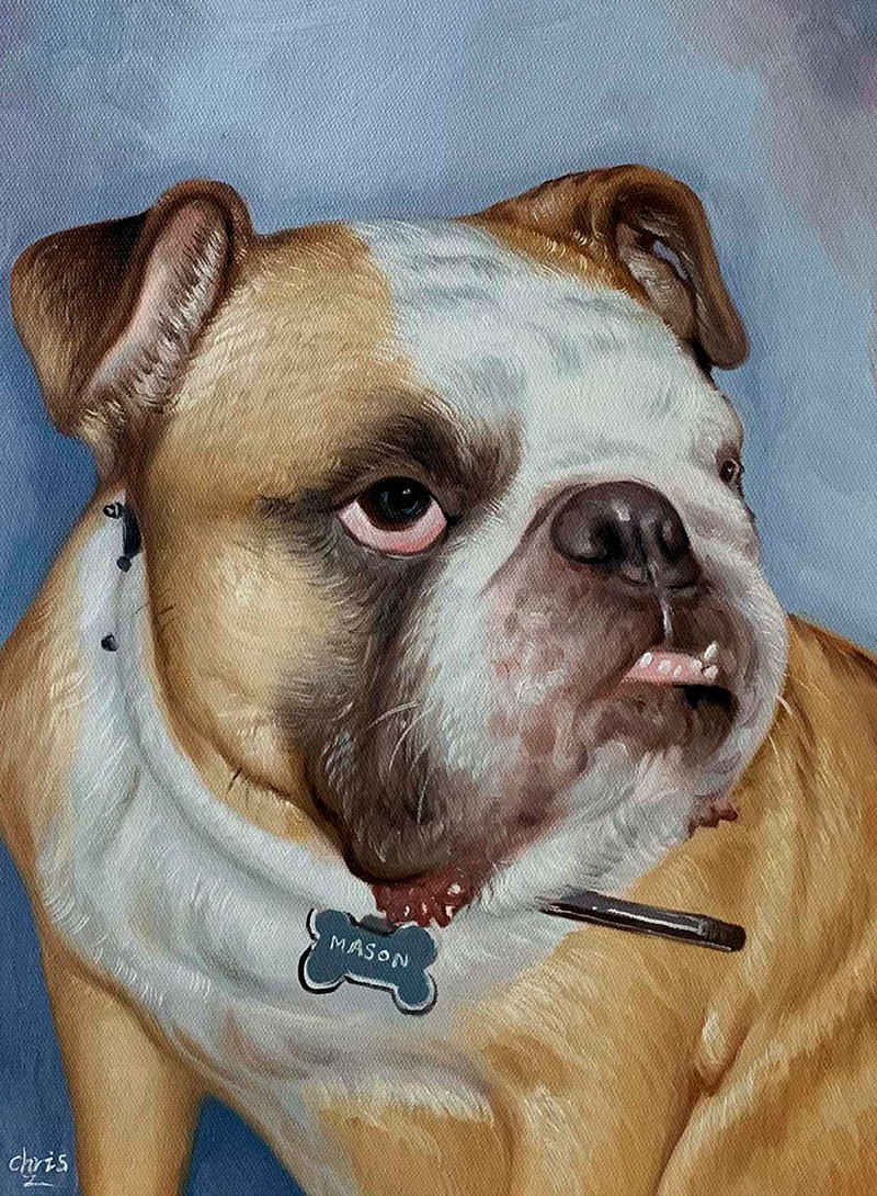 Custom close up handmade oil painting of a dog