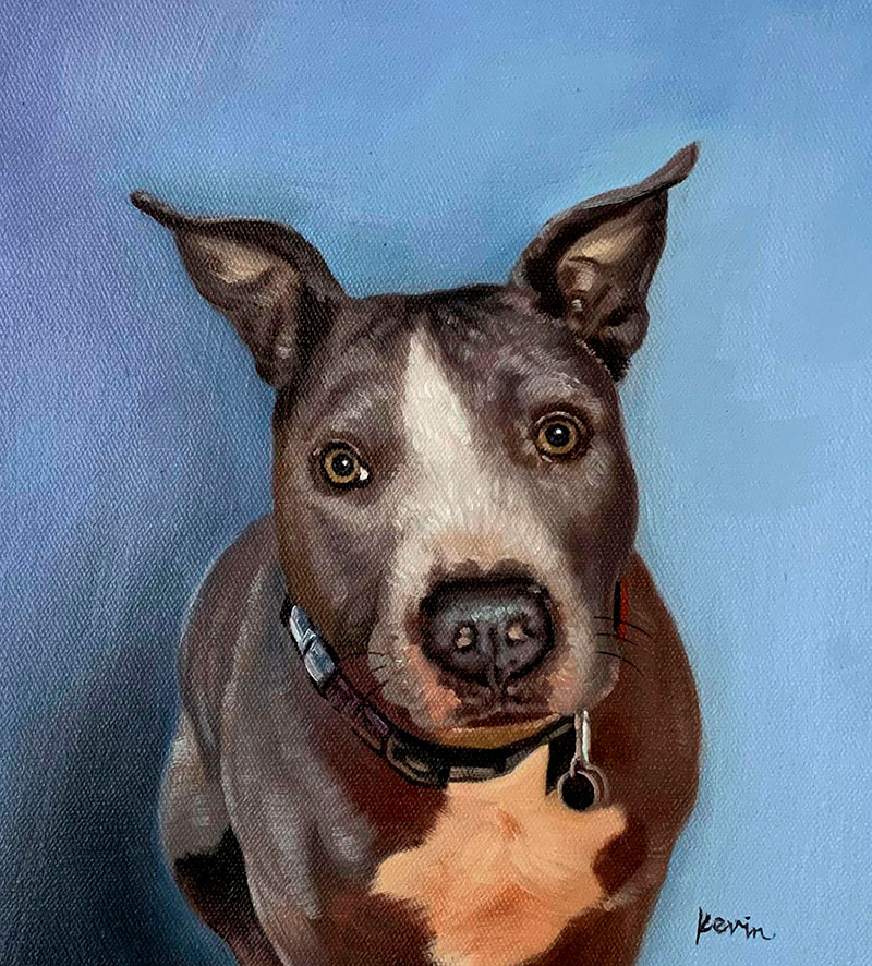 Oil painting of a gray and white Pit Bull terrier wearing a collar.