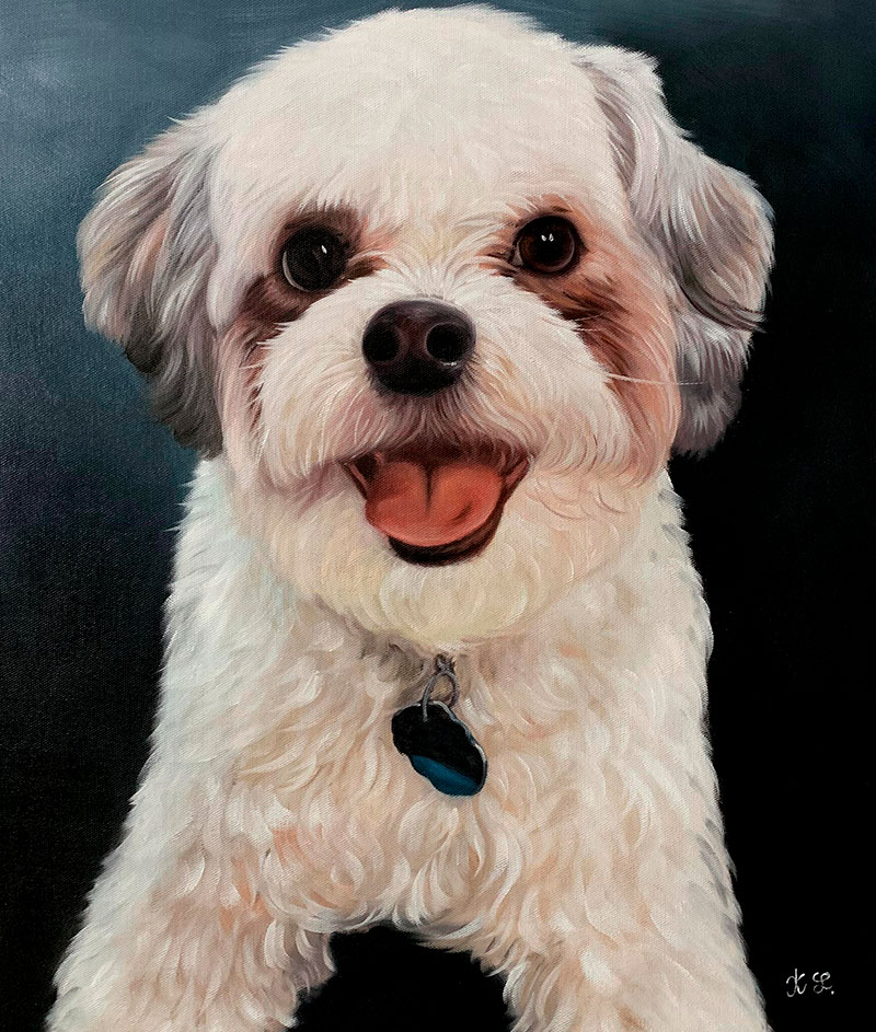 Painting of a happy, fluffy white dog with brown ears and eyes wearing a collar with a tag.